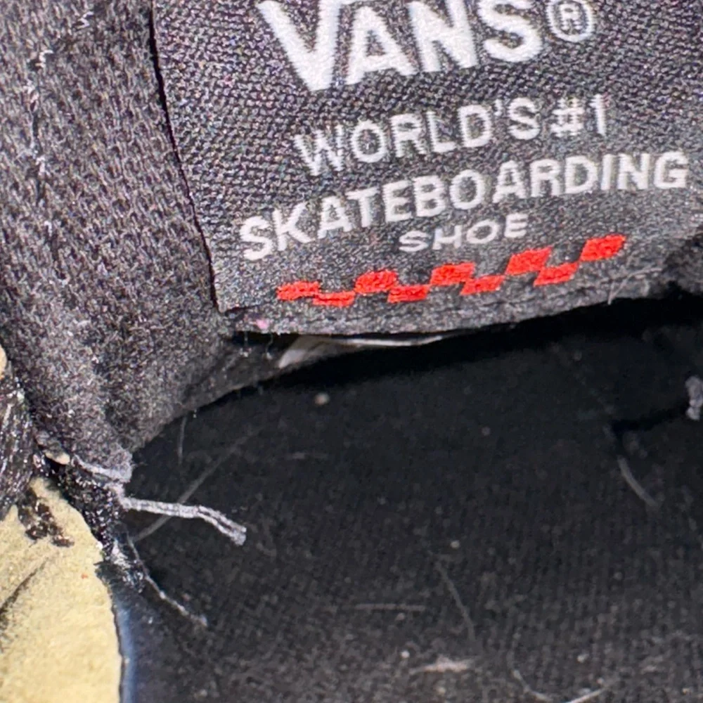 Vans this collaboration
