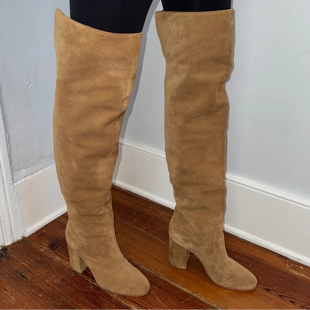 Polo Ralph Lauren thighs over