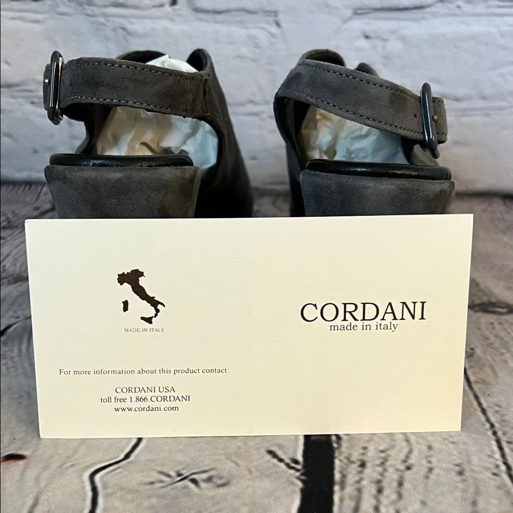 Cordani blue grey