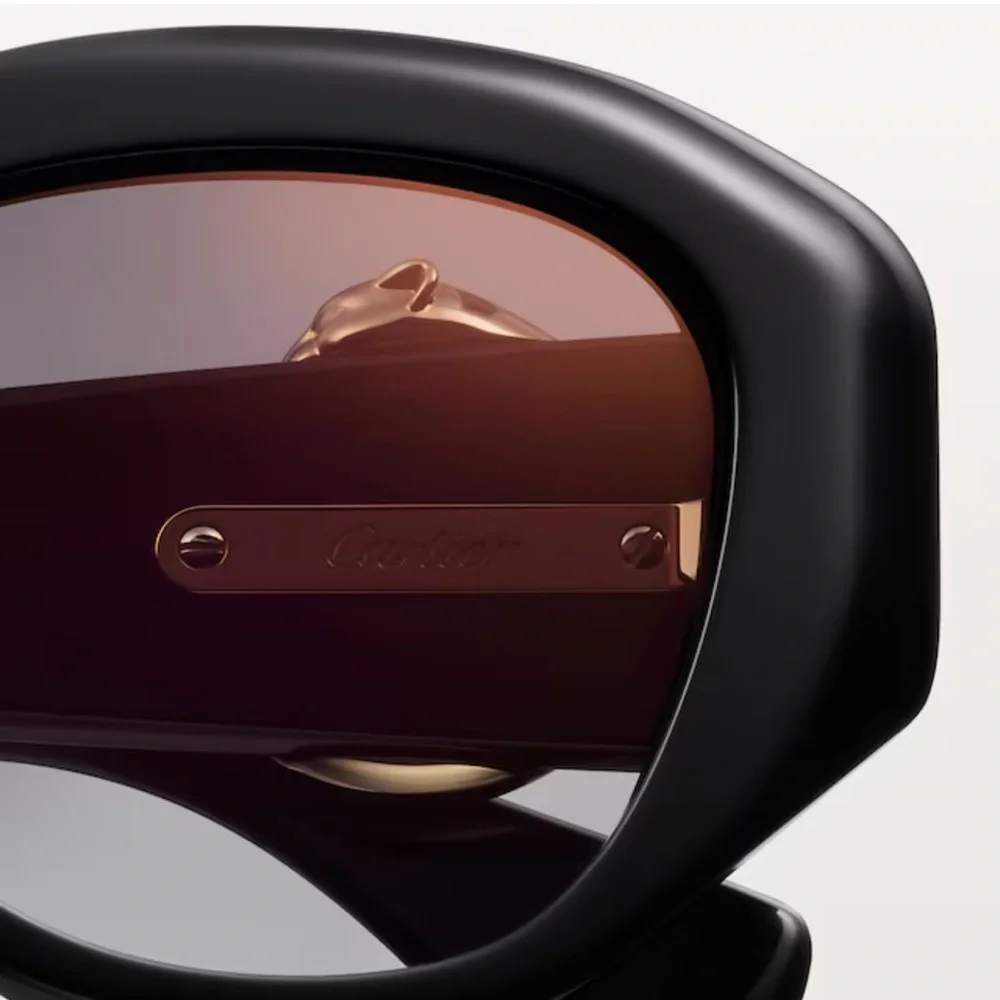 New! Cartier CT0502S 001 Panthere Chic Black Sunglasses, Authentic