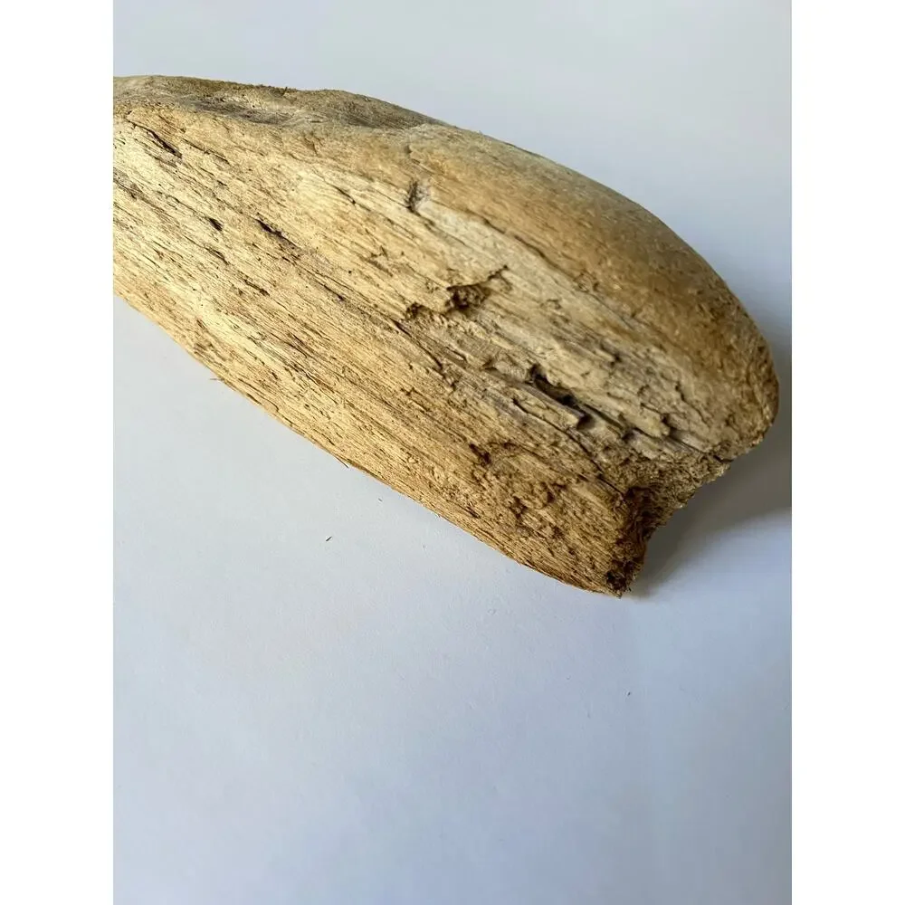 Driftwood from Hetch Hetchy dam 12 inches aquarium art decor