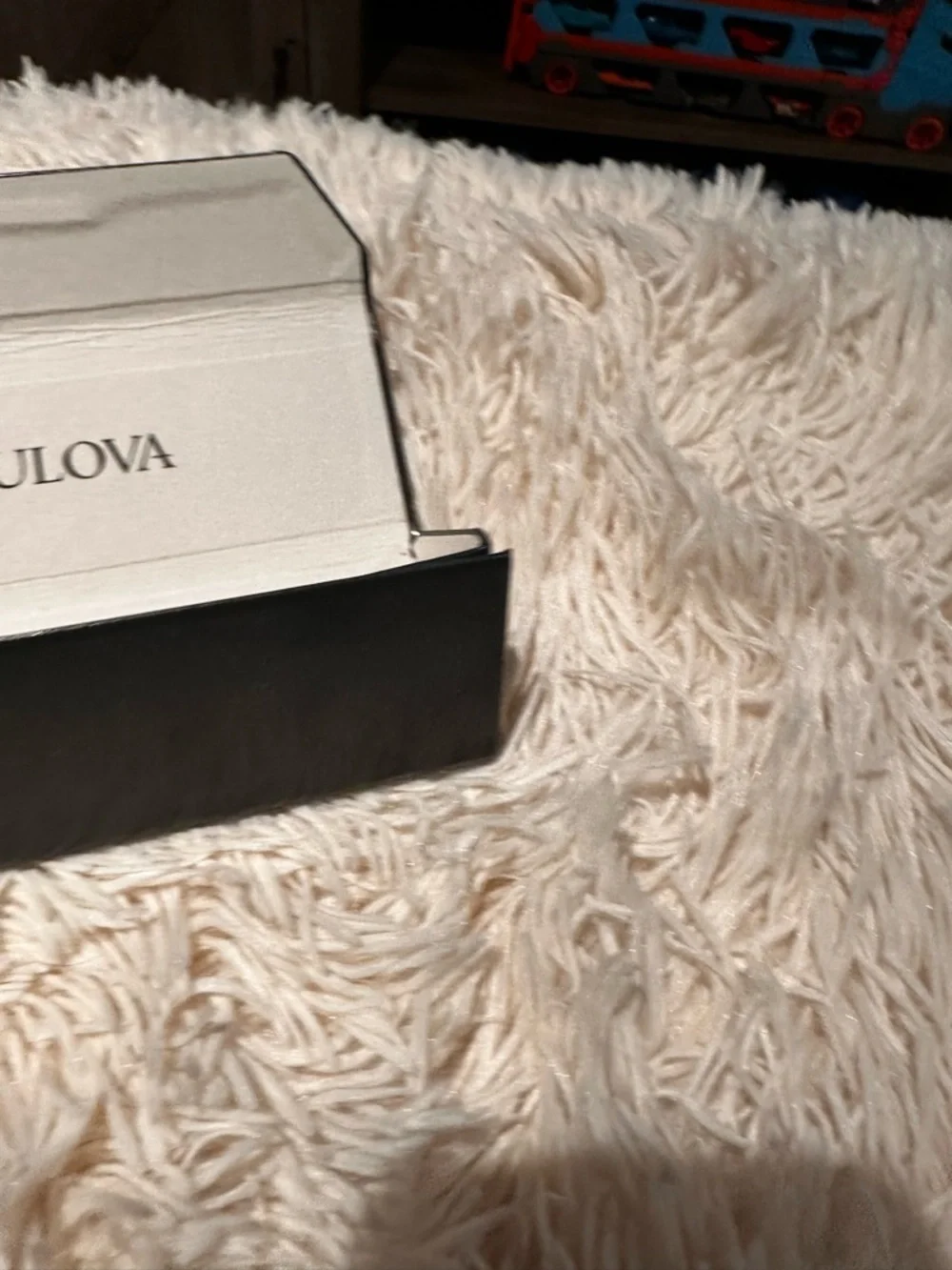 Bulova branded storage