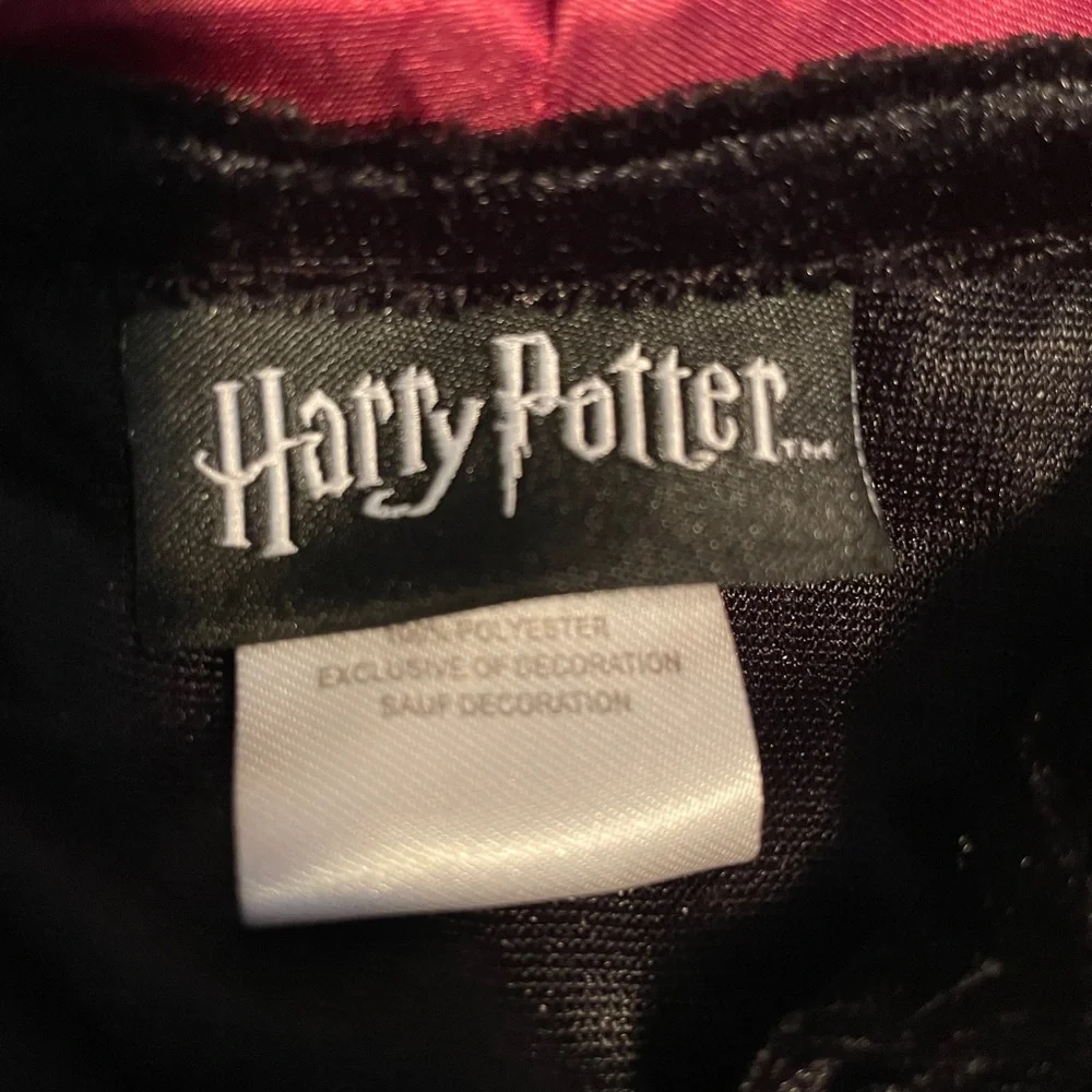Wizarding World Of Harry Potter embrace your