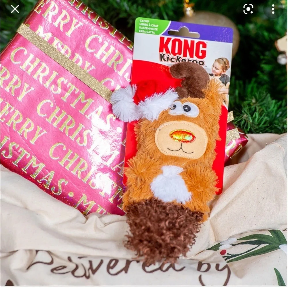 Kong holiday reindeer