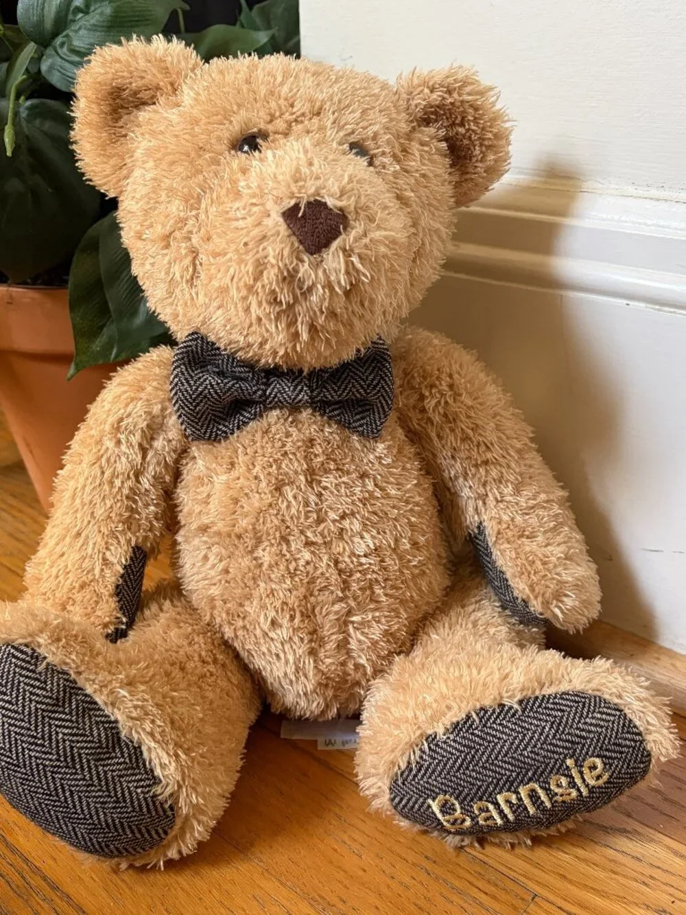 Barnes & Noble Barnsie Bear 17