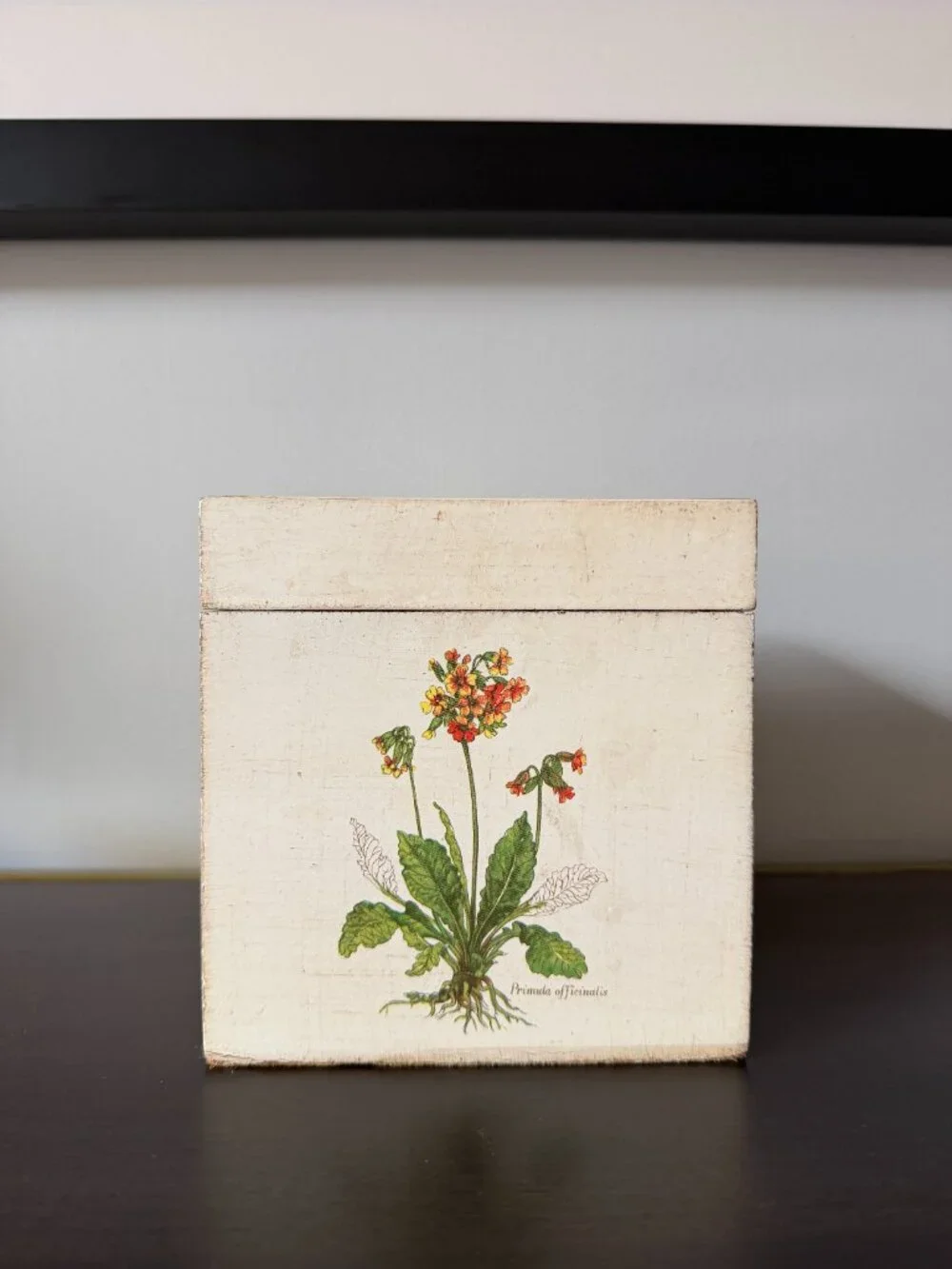 Vietri floral butterfly