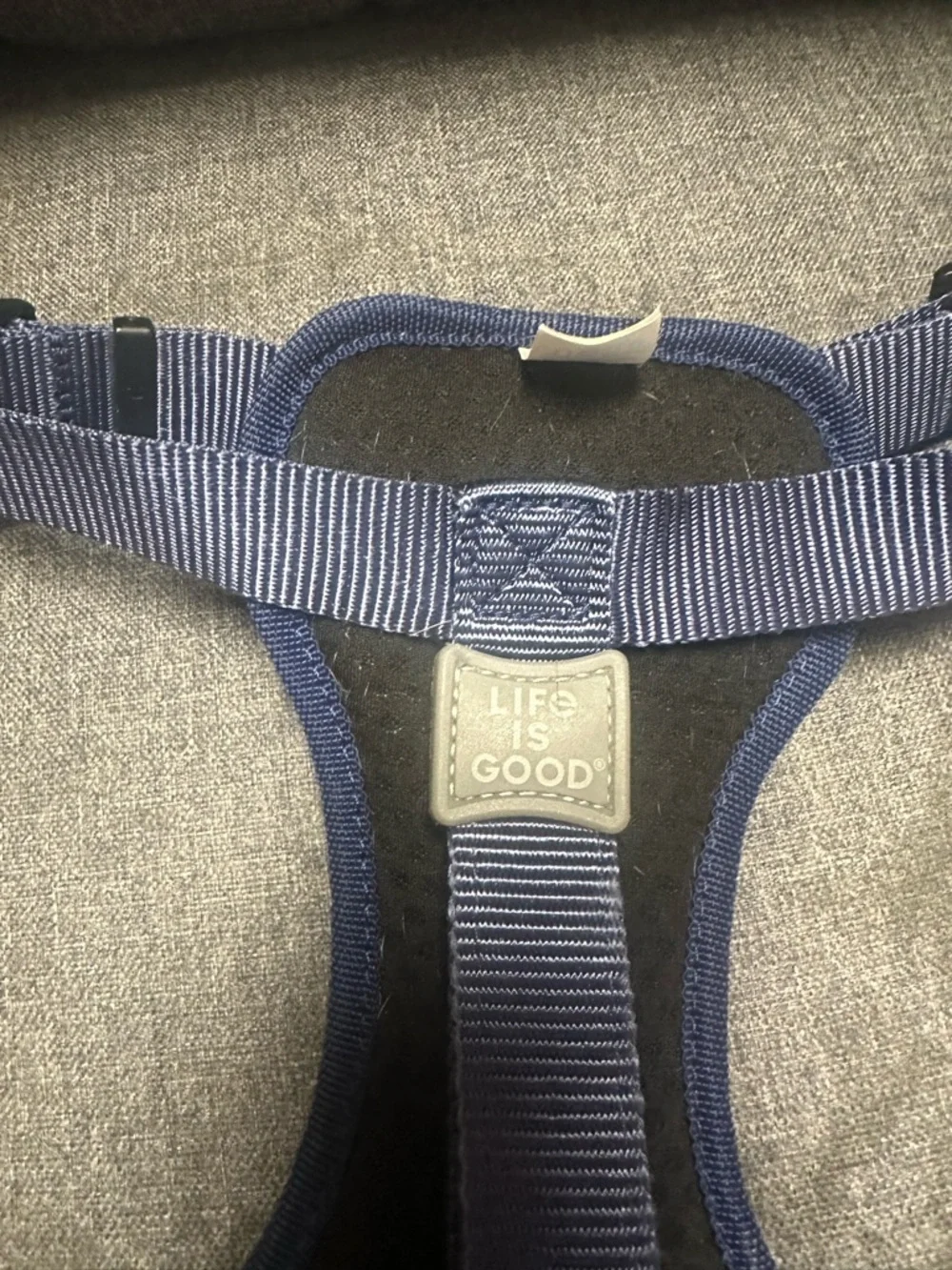 Life is Good Daisy Dog Harness- Baja Yellow