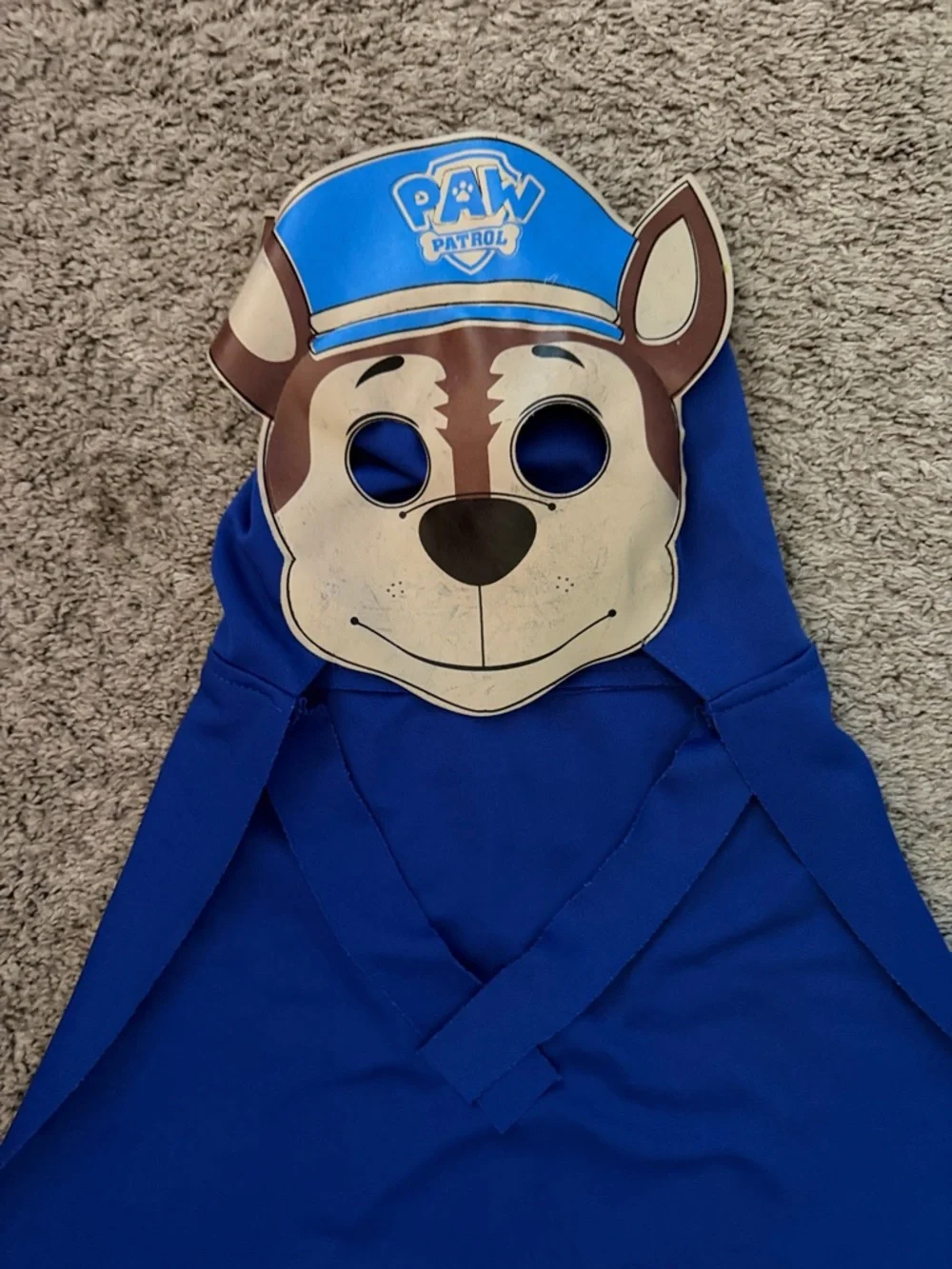 Paw Patrol bright blue