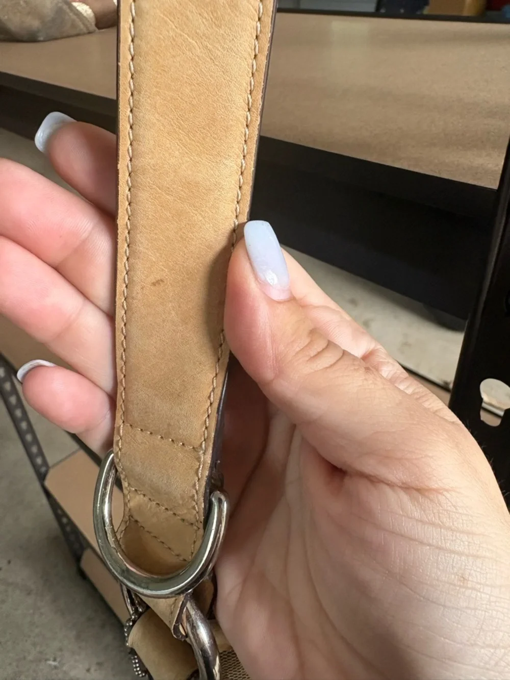 Coach stunning canvas