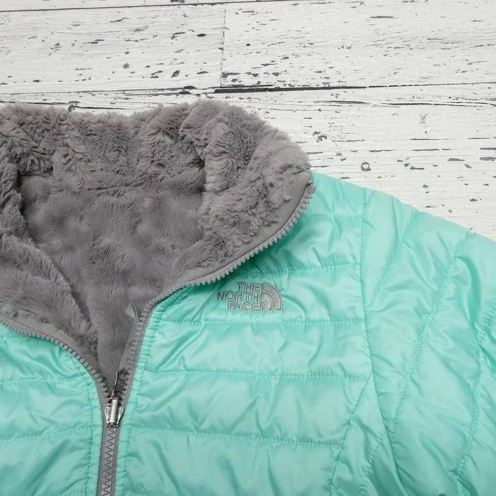 The North Face brand north