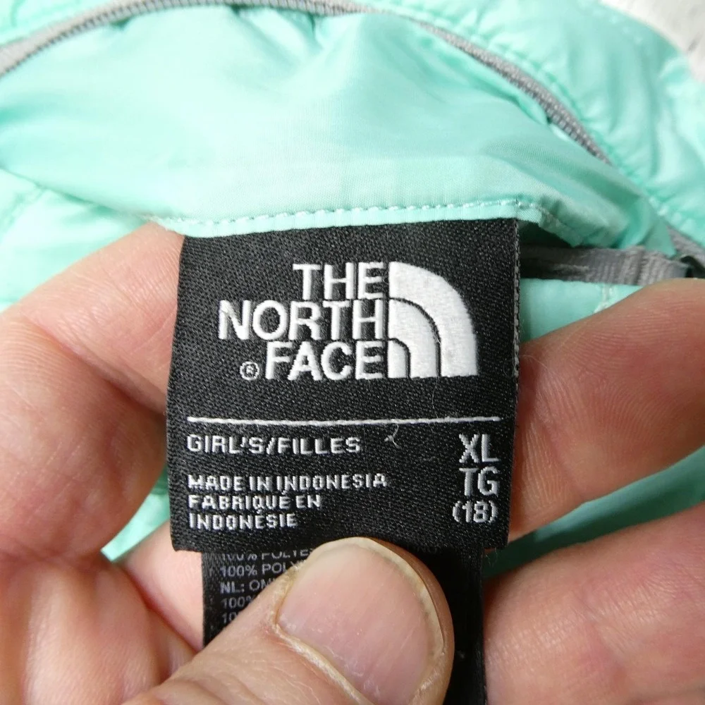 The North Face brand north