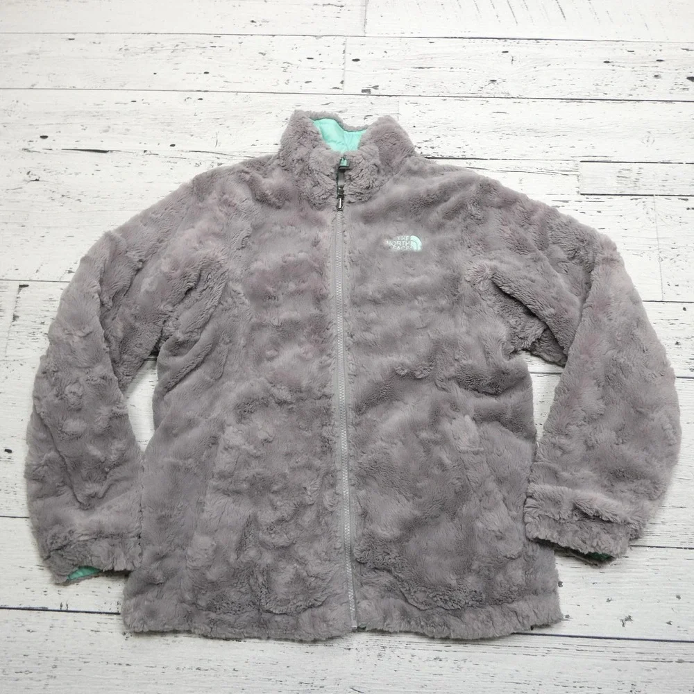The North Face brand north