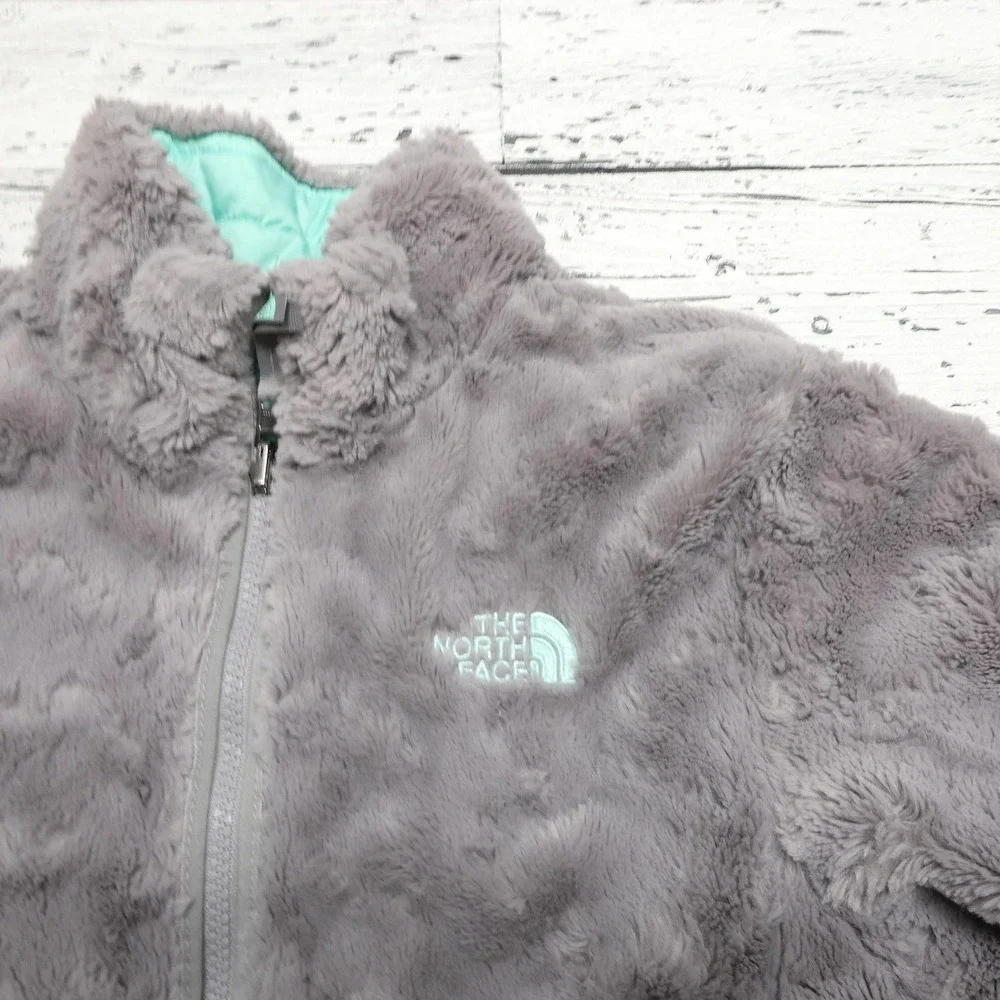 The North Face brand north