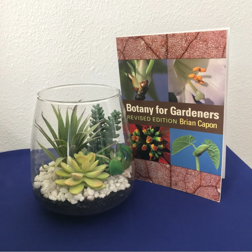 Glass Vase Tabletop Succulent Arrangement