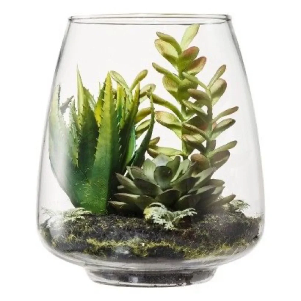Glass Vase Tabletop Succulent Arrangement