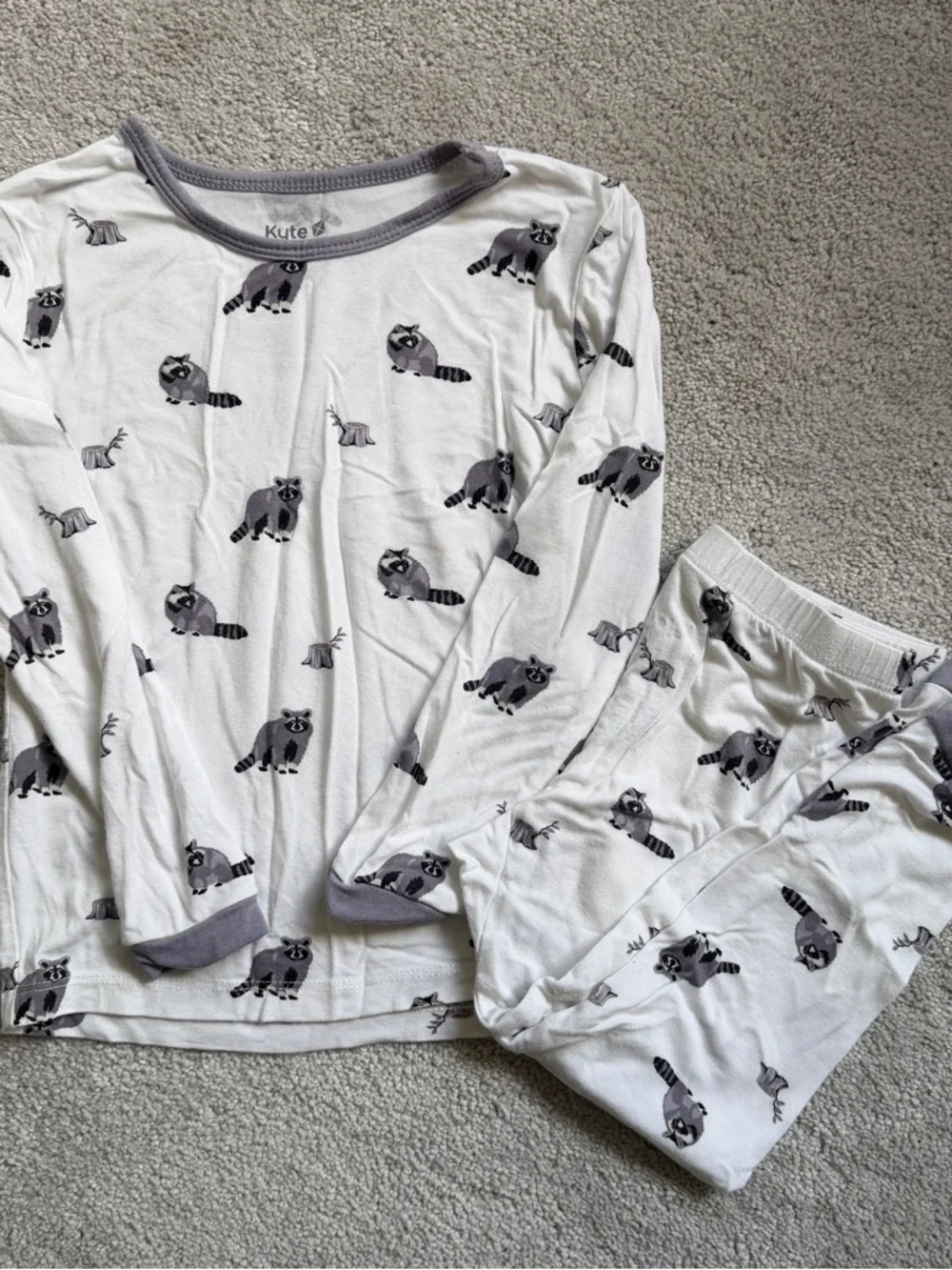 KYTE BABY Toddler Pajamas Size 3T Raccoon