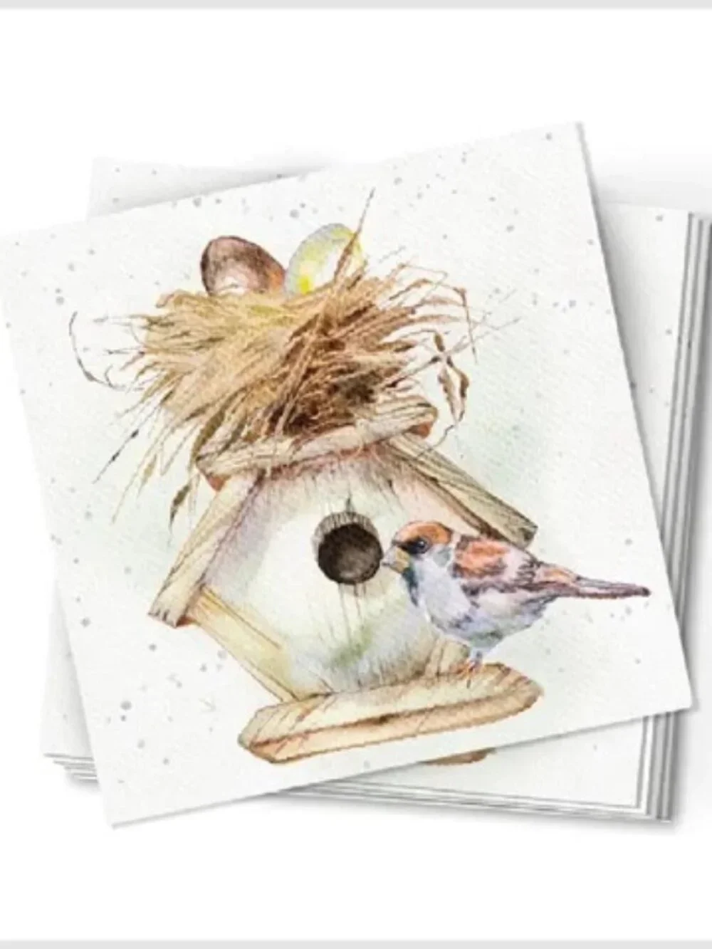 Pack of 20 Birdhouse Party Table Napkins , Disposable Paper Party Napkins