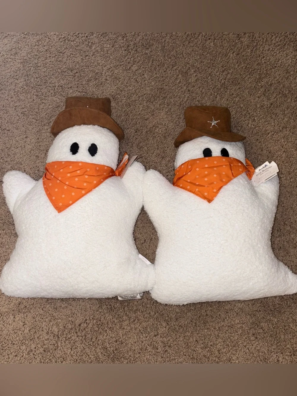 New Isaac Mizrahi Ghost Cowboy Pillow set of 2 Homegoods