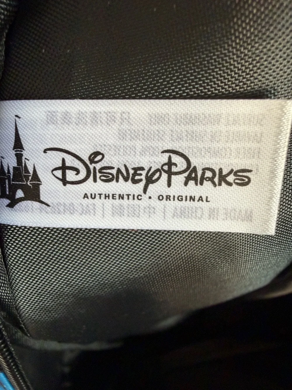Disney disneyland resort