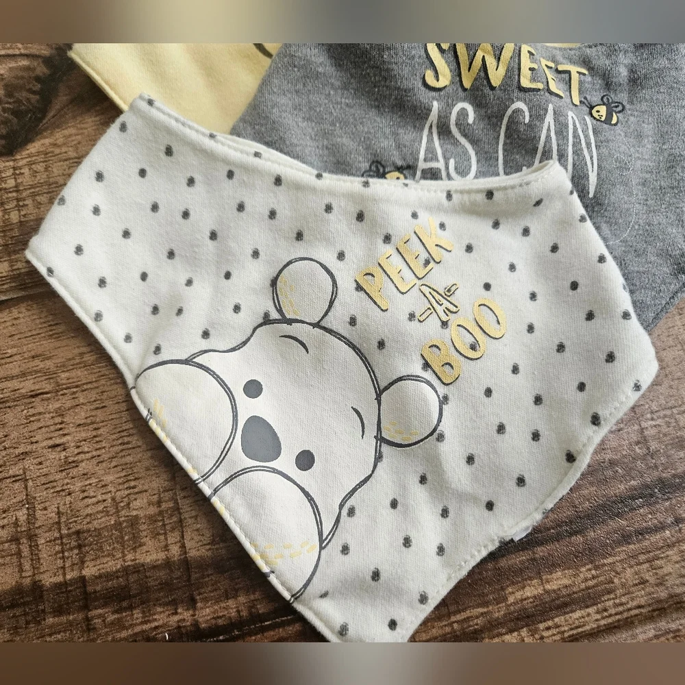Disney baby winnie