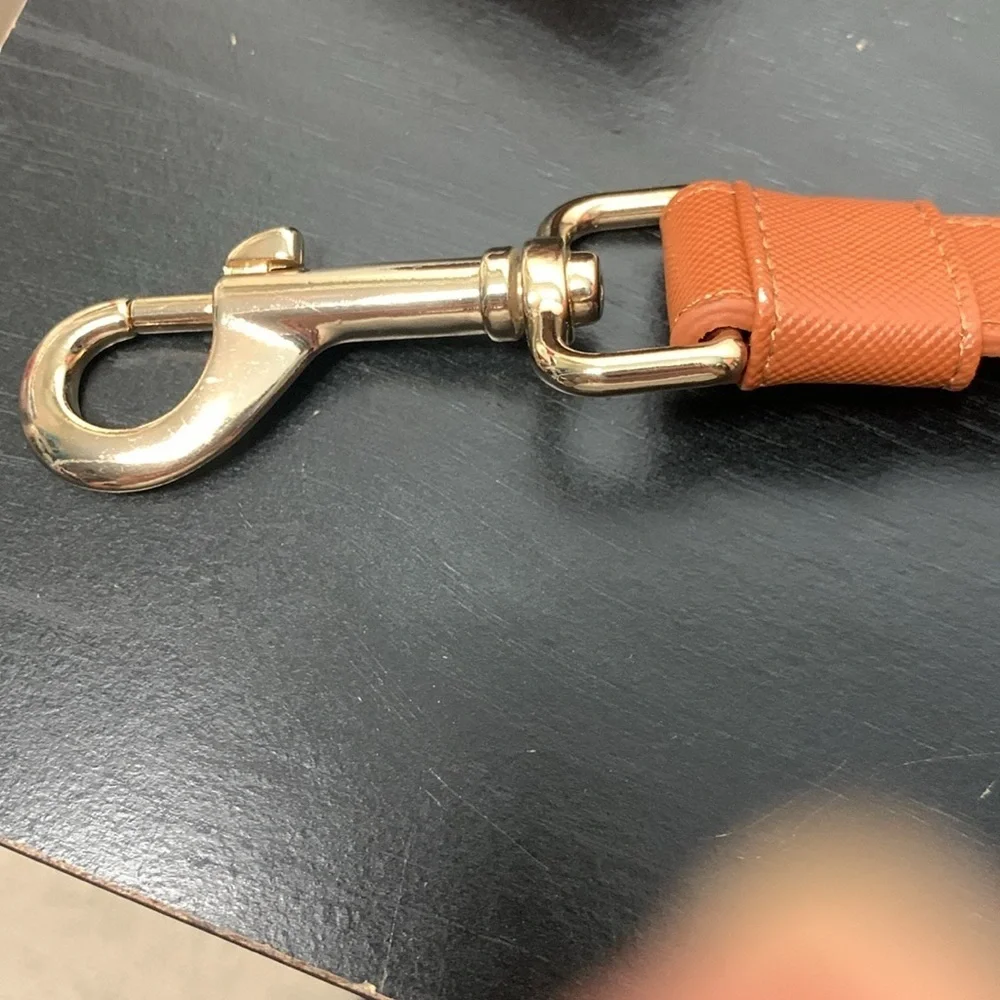 Express do buckle swivel