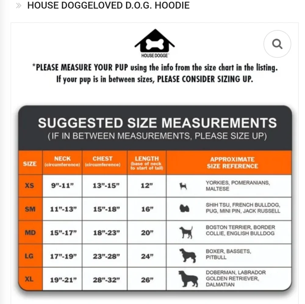 house dogge stylish black