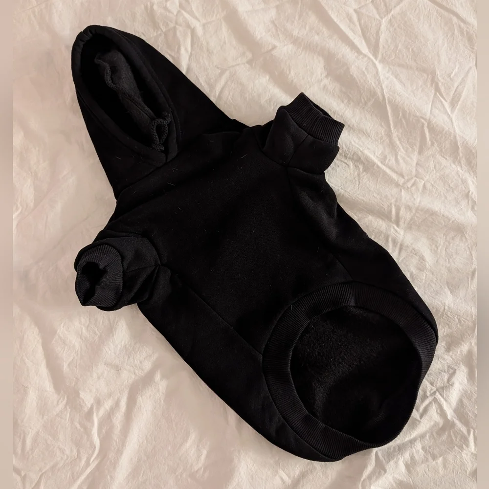 house dogge stylish black