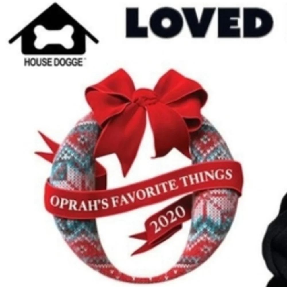 house dogge stylish black