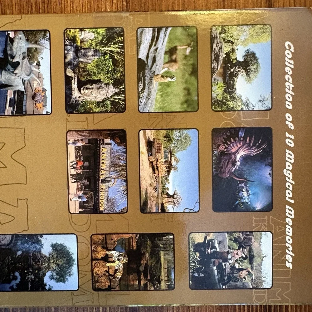 Disney Animal Kingdom Postcard Set 10 Magical Memories Walt Disney World