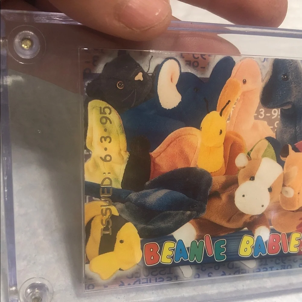 Ty Beanie Babies Collector Display Card - Multicolored Plush Characters