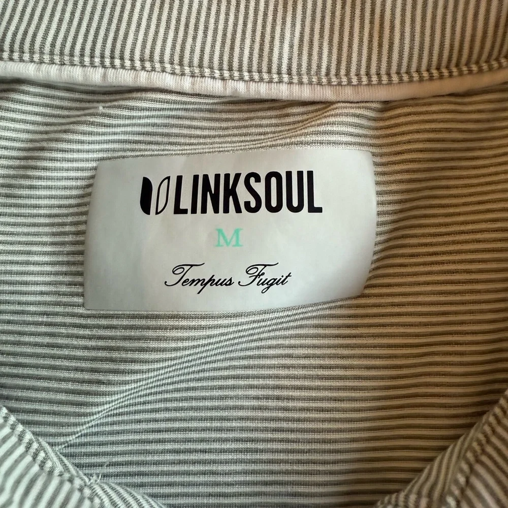 Linksoul experience perfect