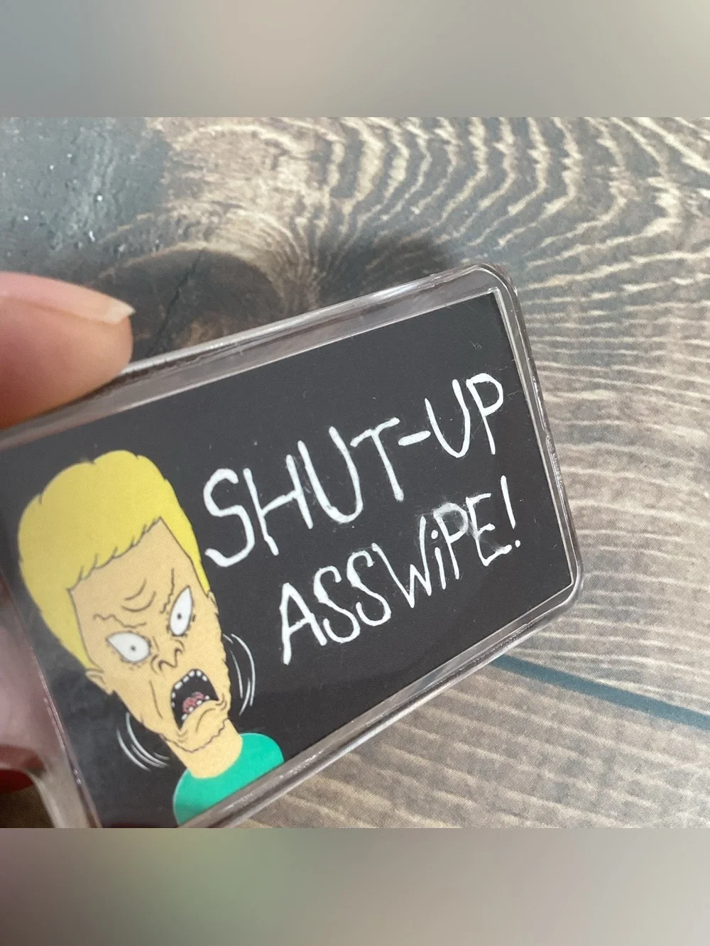 MTV 1993 beavis