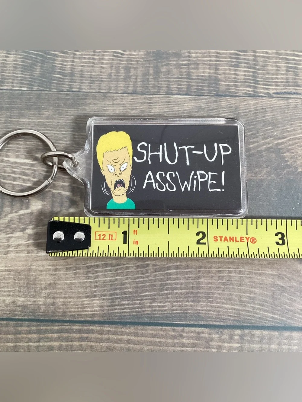 MTV 1993 beavis