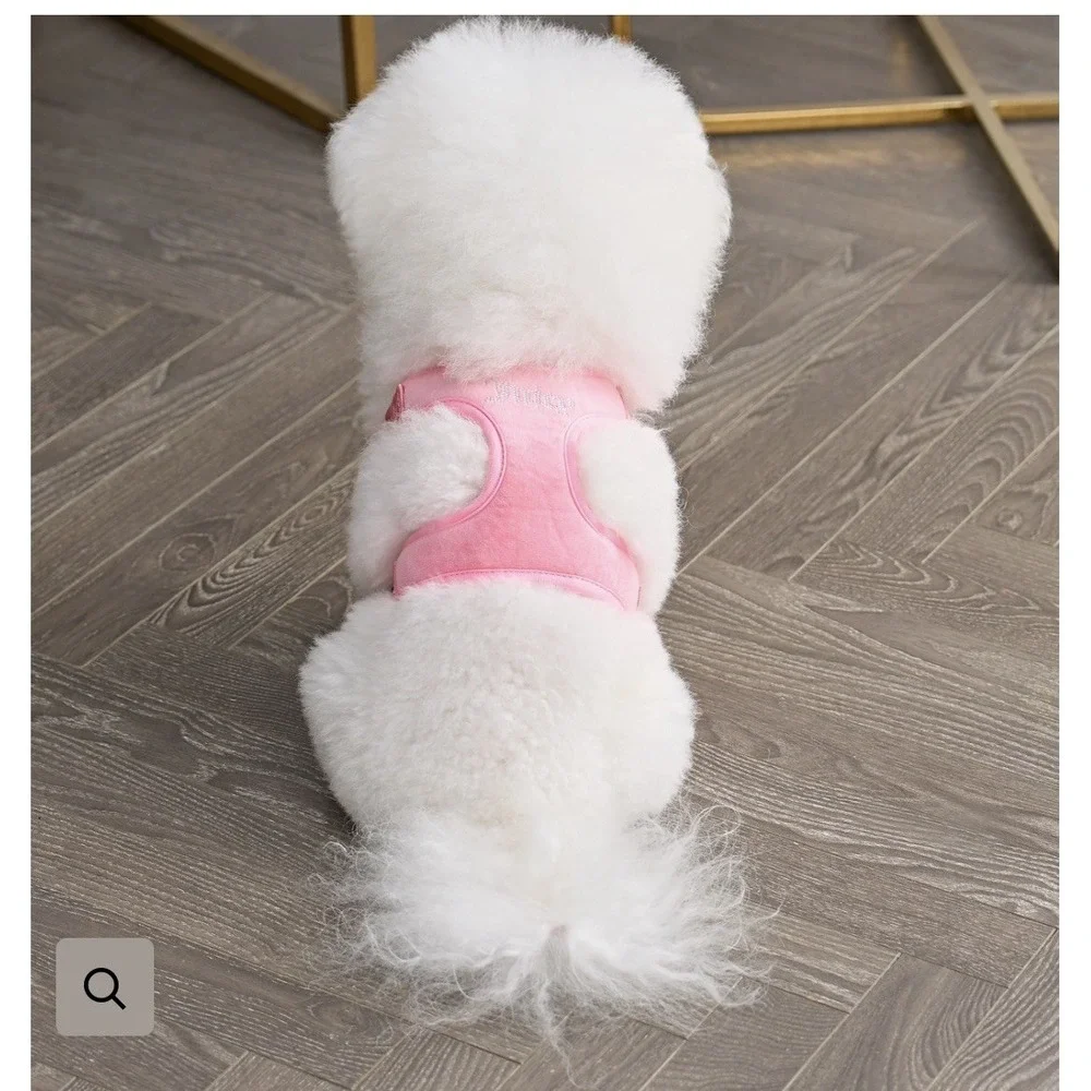 Juicy Couture Pink Rhinestone Crown Dog Harness & Leash Set LG - NEW