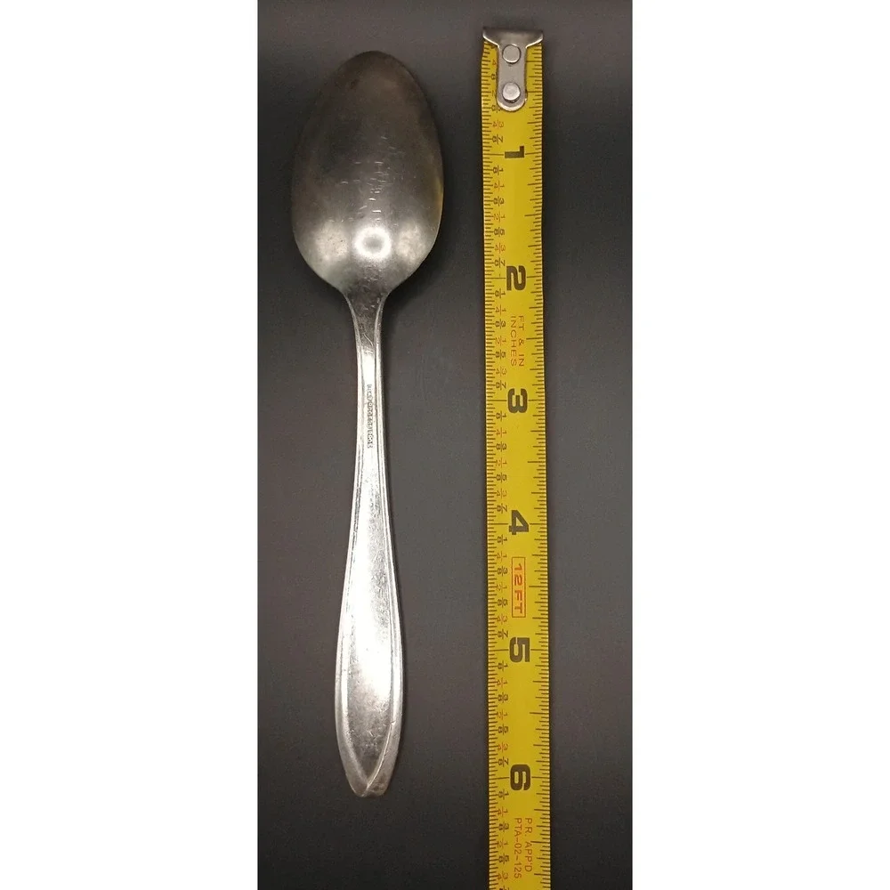 1847 Rogers Bros silhouette silverplate