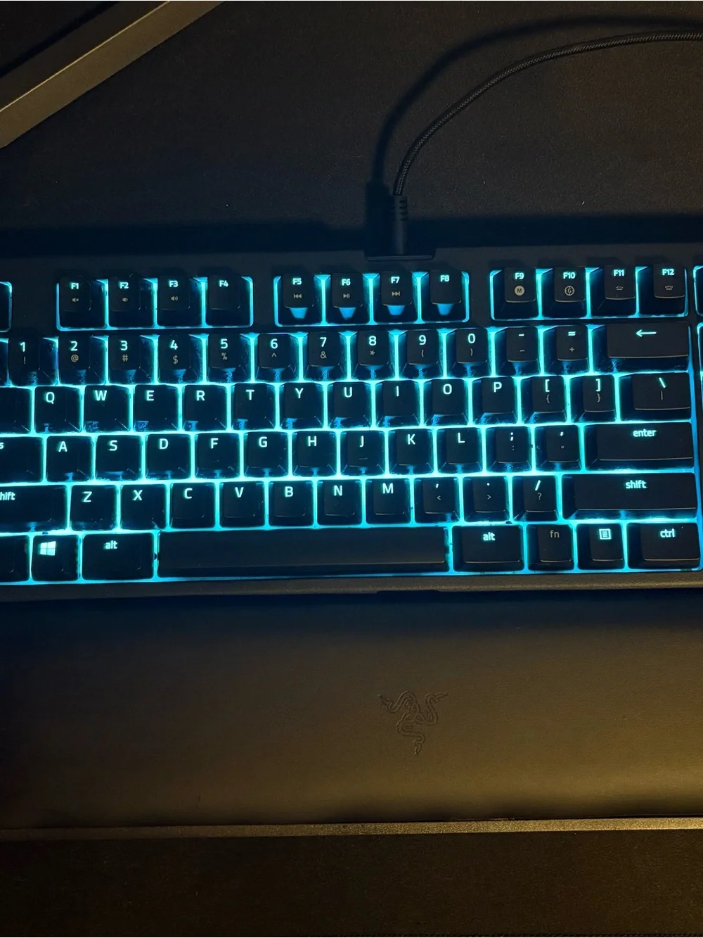 Razer blackwidow te