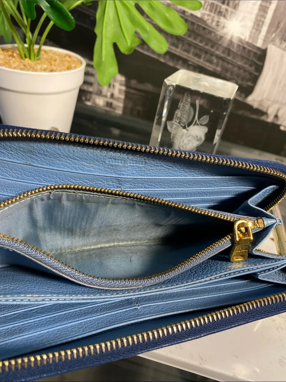 Miu Miu authentic miu