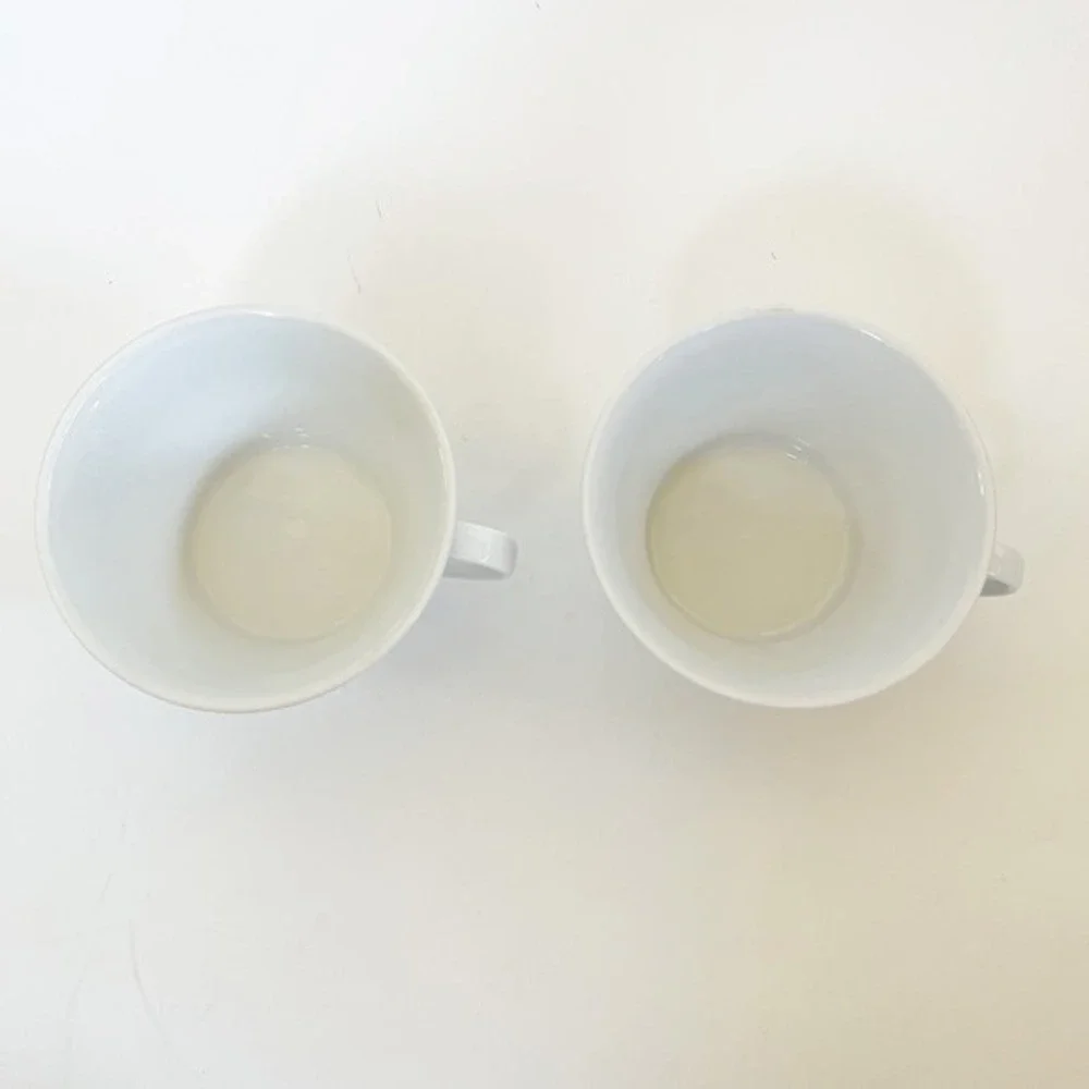 Crate&Barrel Loft Design By Winterling Made In Germany 6x4‎ Handled Bowl White