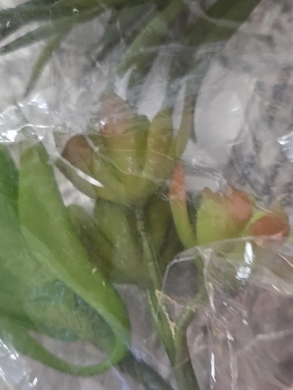 Hobby Lobby delicate soft