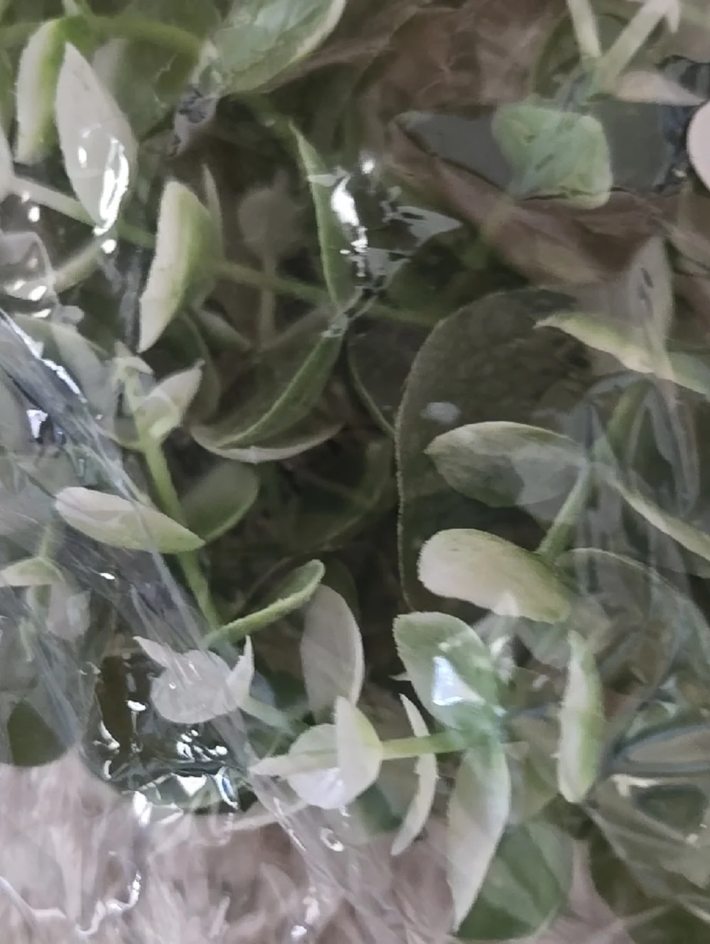 Hobby Lobby delicate soft