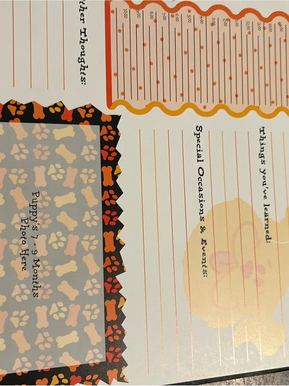 N/A just bepaws