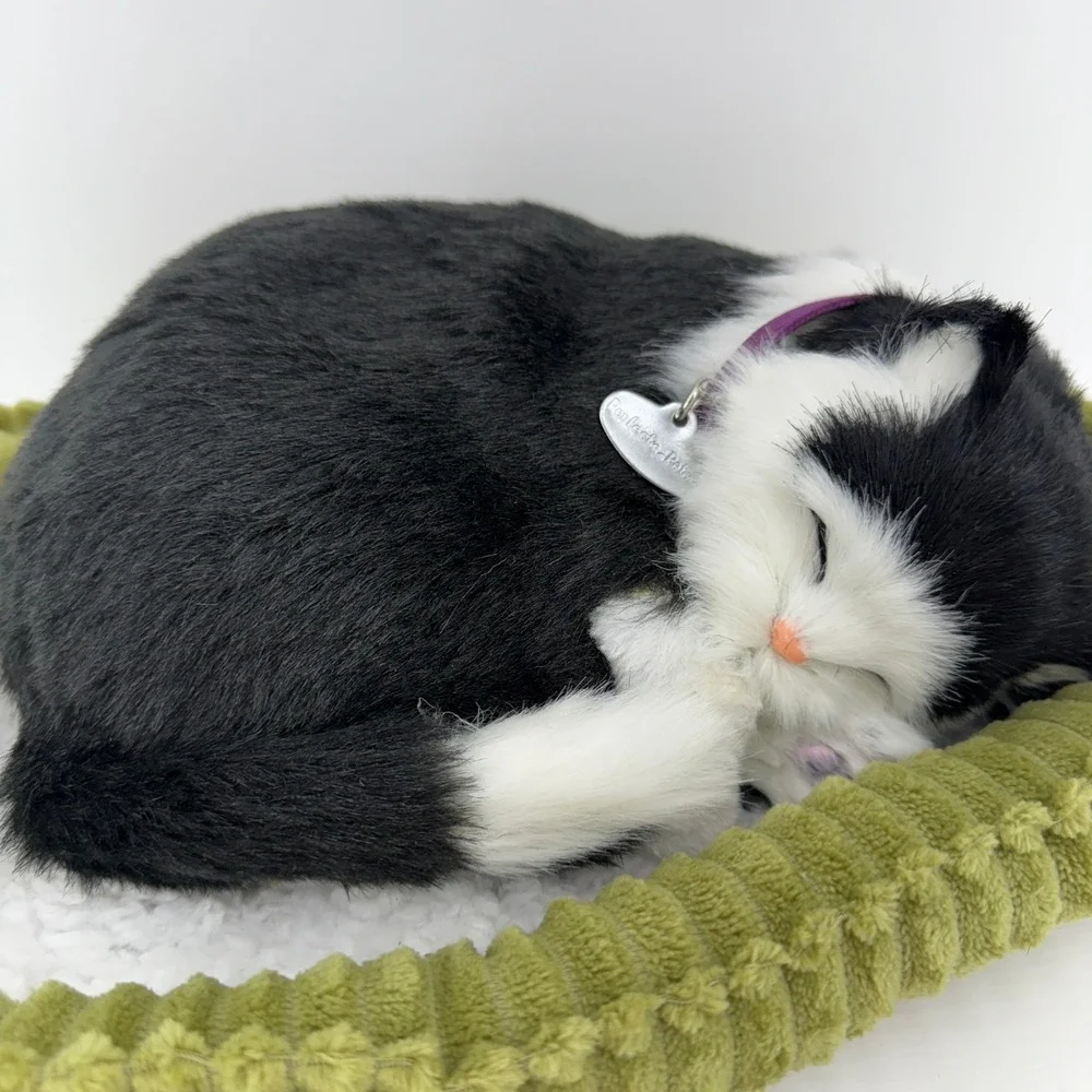 Perfect Petzzz perfect petzzz
