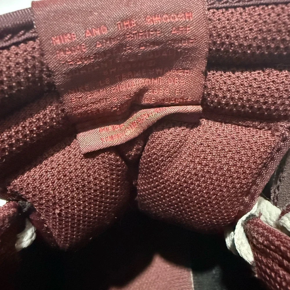 Nike Dunk 11 Men’s Wine And Bone