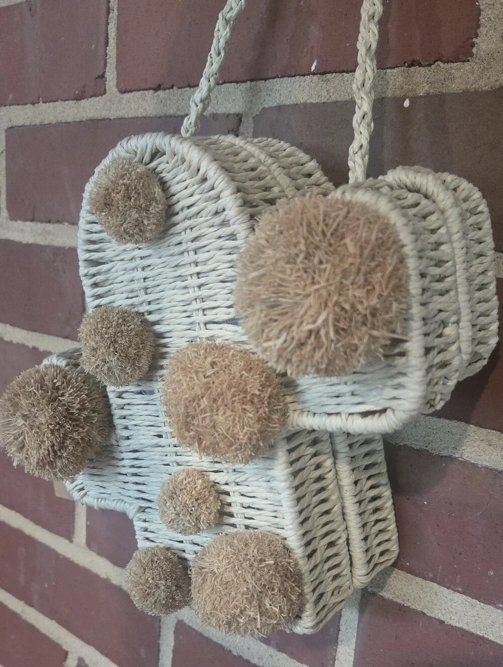 unique cactus