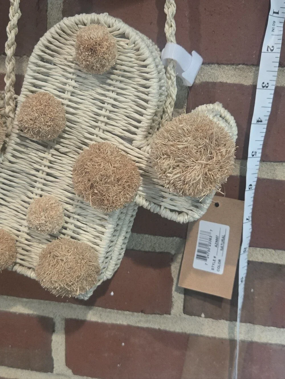 unique cactus