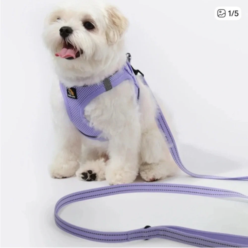🫶🏻 Bella & Pal Oxymesh Purple Dog Harness and Leash Set
