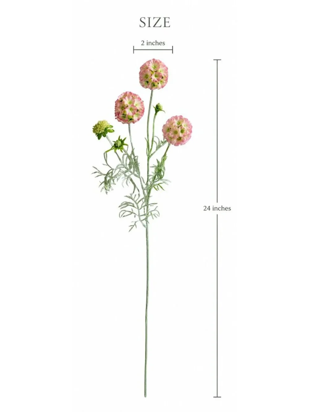 Z-A LLC artificial scabiosa