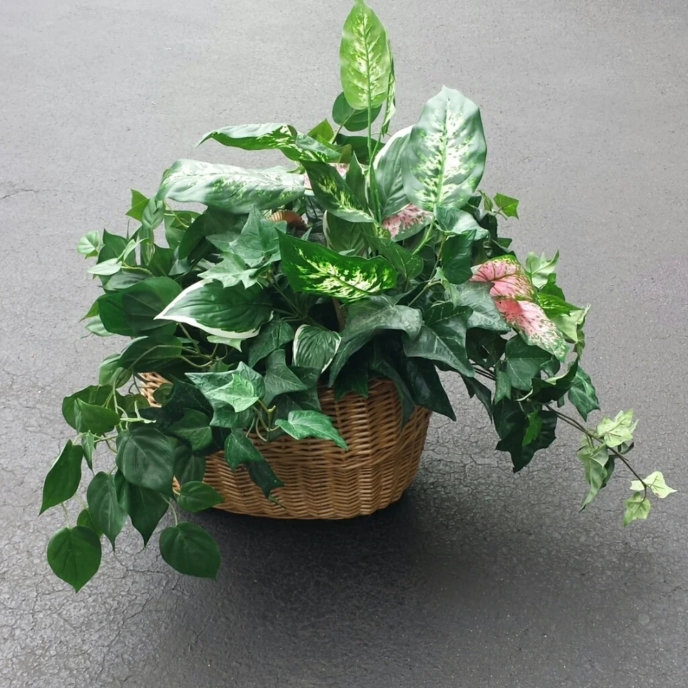 N/A indoor faux