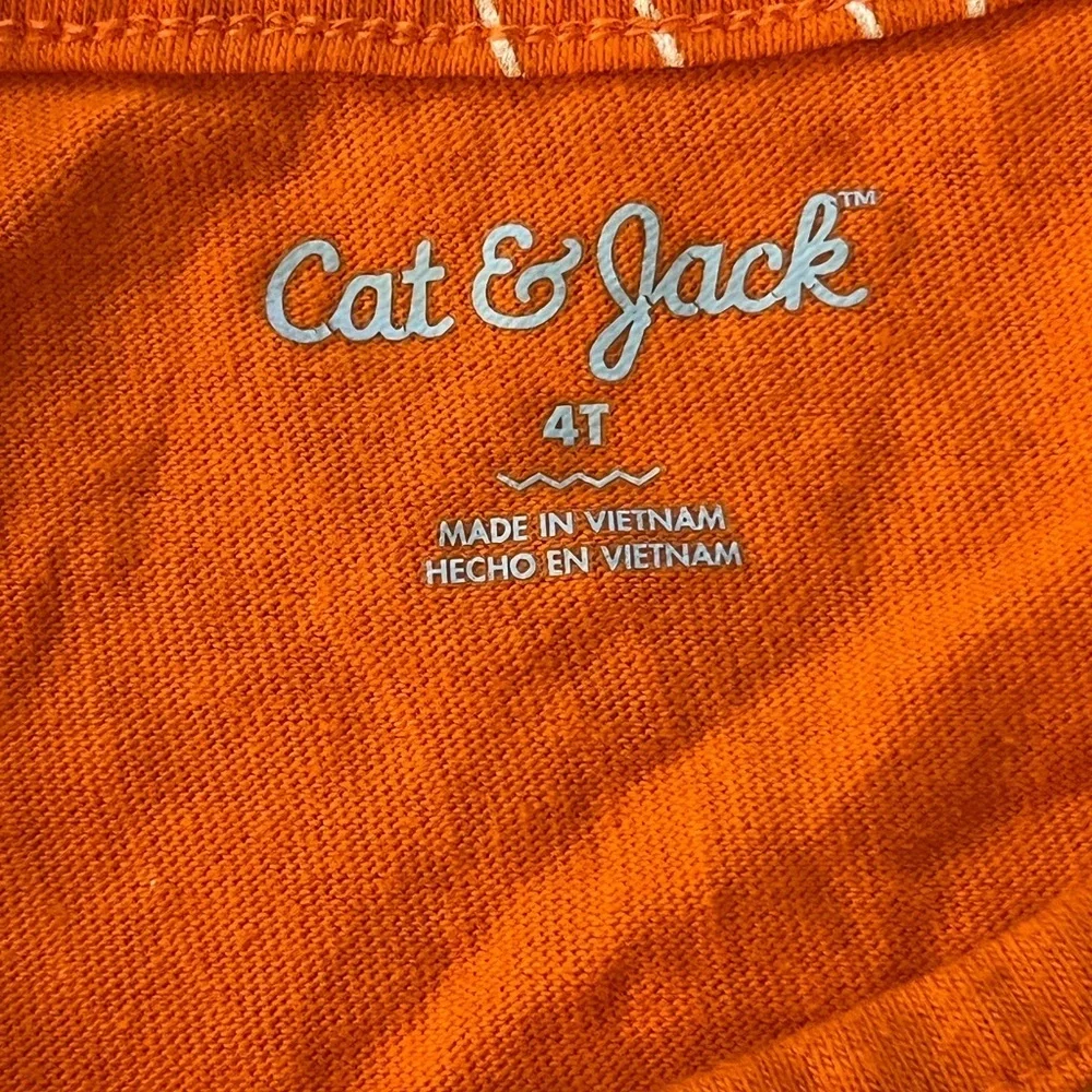 Fall Pumpkin Dress Cat and Jack 4t