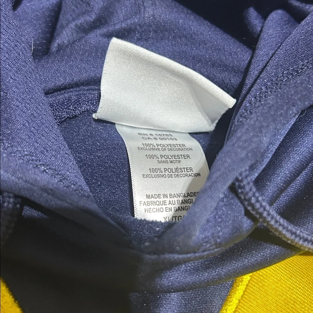Champion university michigan